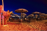 1720772948tropical 09.JPG